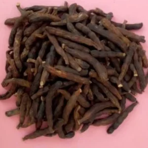 Poivre de Guinée ou poivre de Sélim (Xylopia aethiopica)