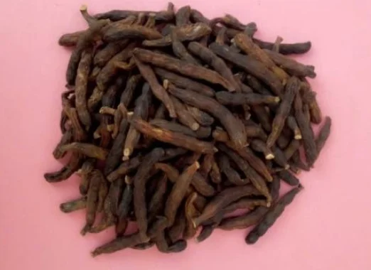 Poivre de Guinée ou poivre de Sélim (Xylopia aethiopica) – Image 2