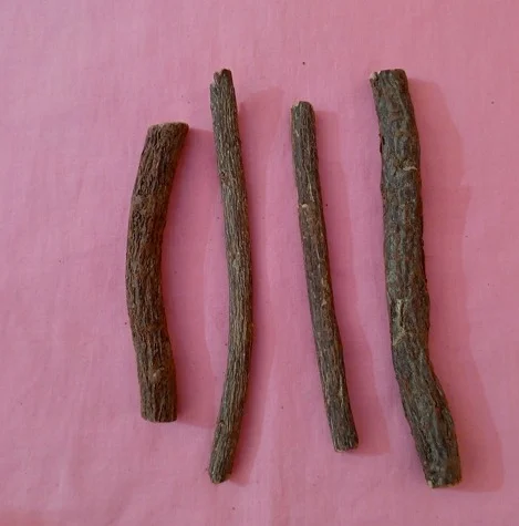 Cure-dent sucré (Carpolobia lutea) – Image 3